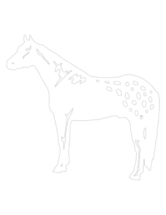 Horse Kid Coloring Pdf, Free Vectors File